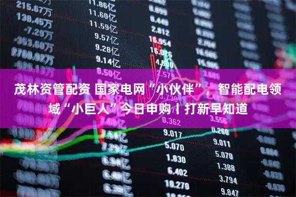 茂林资管配资 国家电网“小伙伴”，智能配电领域“小巨人”今日申购丨打新早知道