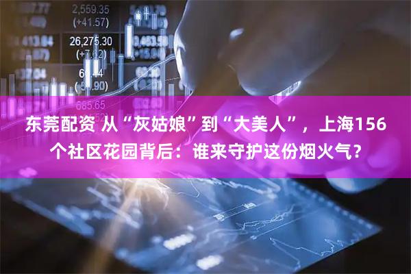 东莞配资 从“灰姑娘”到“大美人”，上海156个社区花园背后：谁来守护这份烟火气？