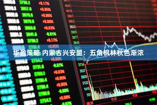 华盈策略 内蒙古兴安盟：五角枫林秋色渐浓