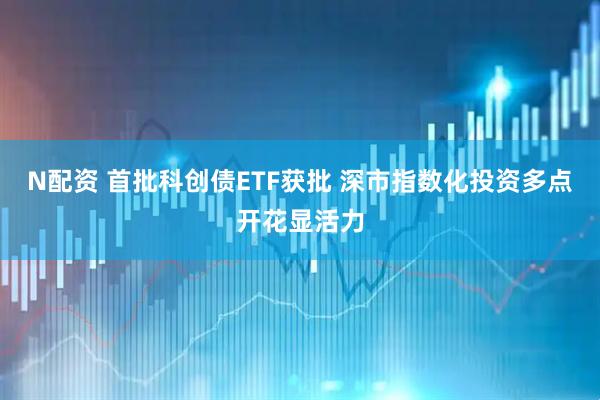 N配资 首批科创债ETF获批 深市指数化投资多点开花显活力