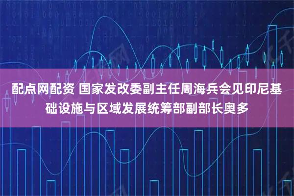 配点网配资 国家发改委副主任周海兵会见印尼基础设施与区域发展统筹部副部长奥多