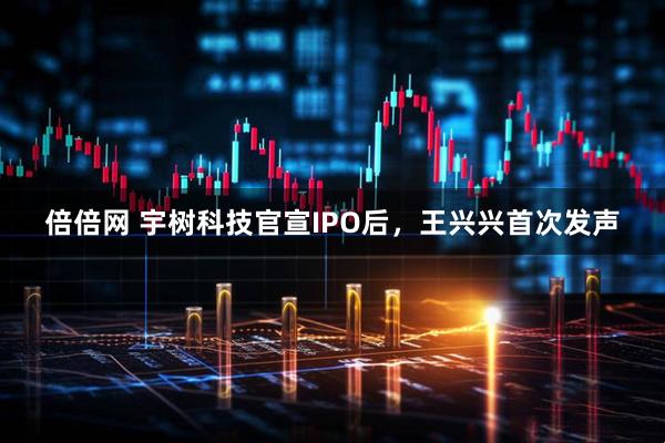 倍倍网 宇树科技官宣IPO后，王兴兴首次发声