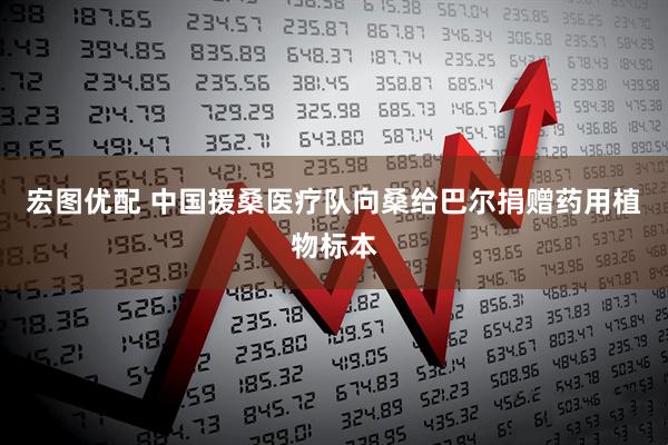 宏图优配 中国援桑医疗队向桑给巴尔捐赠药用植物标本